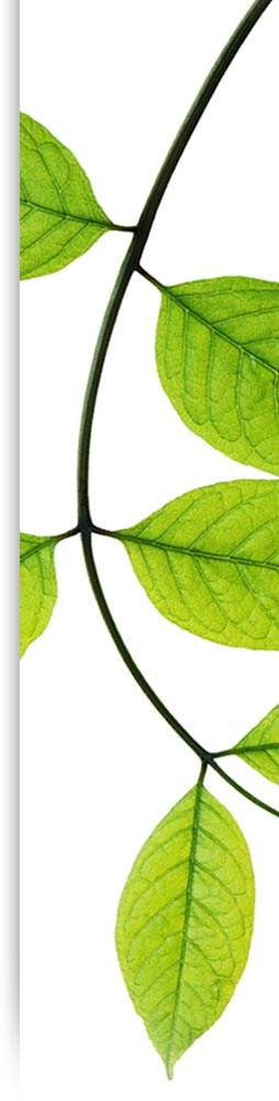 Equilibrium Bermuda Psychology