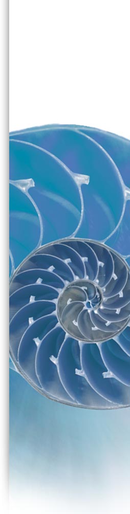 Equilibrium Bermuda Psychology