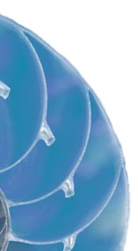 Equilibrium Bermuda Psychology