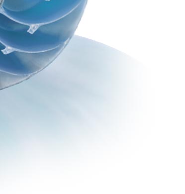 Equilibrium Bermuda Psychology