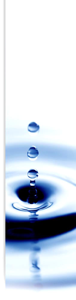 Equilibrium Bermuda Psychology